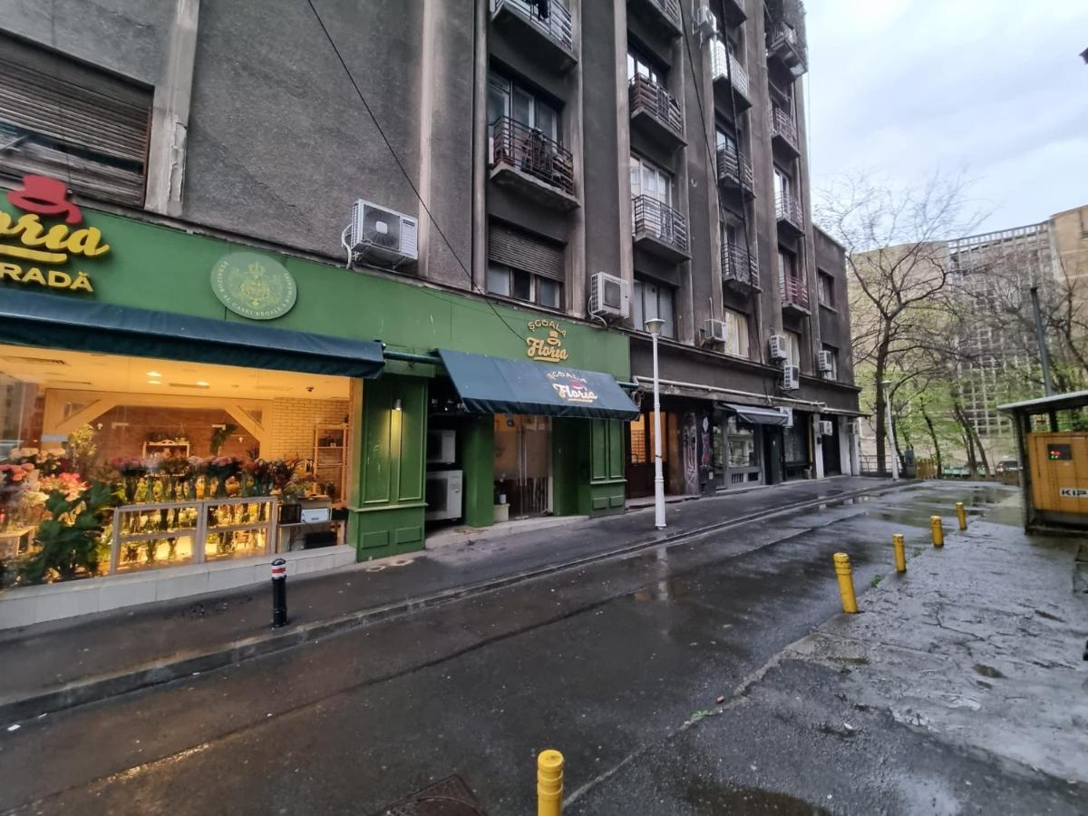 Cozy Novotel Studio - Free Minibar - Quiet & Peace Bucharest Exterior photo